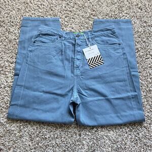 Free People X Sandrine Rose High Rise Ankle Mom Pant Women's 25 Slate Button Fly
